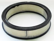 AF26320 воздушный фильтр Fleetguard