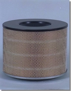 AF4842 воздушный фильтр Fleetguard