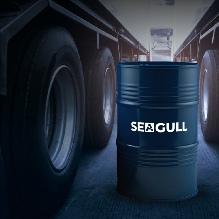 Seagull.jpg Seagull.jpg